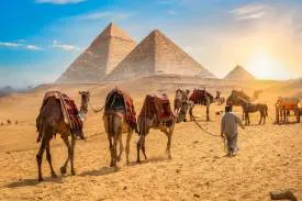 Egypt Specialist